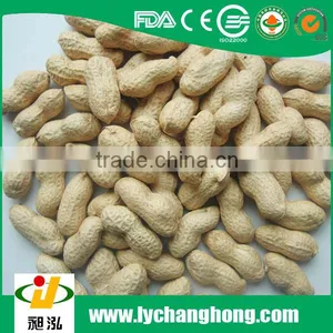 11/13 Size Peanut in Shell for Sale With Lowest Price thumbnail-1