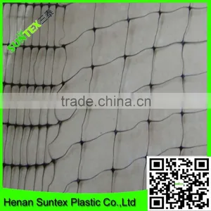 Long Usage Time Cherry Garden Used Bird Barrier Netting for Protection Anti Bird Net thumbnail-2