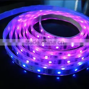 100% Waterproof SMD Led Strip Light 12V 24V thumbnail-3