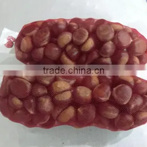 Wholesale Chestnut /Horse Chestnut/Chestnut From Fty thumbnail-3