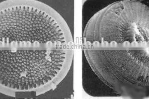 Diatomaceous Earth for Paints thumbnail-3