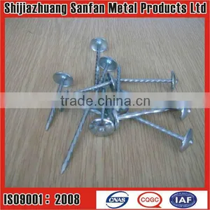 Galvanized Roofing Nails thumbnail-1