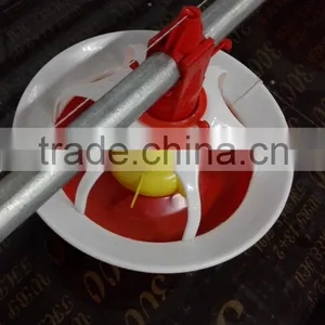 Auto Duck Feeding System thumbnail-1