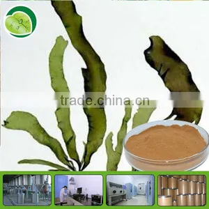 Seaweed Extract Polysacchrides 30% thumbnail-1