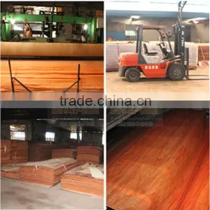 Best Quality Natural Pemcil Cedar Face Veneer for Sale thumbnail-4