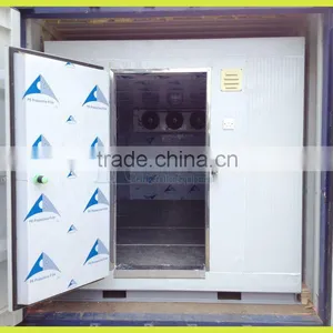 for Vegetable Fruit and Food Storage Cold Room for Sale thumbnail-1