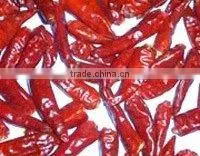 Hot Chili thumbnail-1