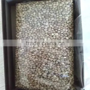 2016 New Crop Hemp Seeds Wholesale thumbnail-2