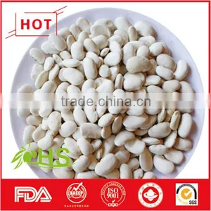 Chinese White Kidney Beans of Wholesale Price thumbnail-3