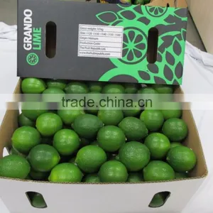 VIETNAM FRESH SEEDLESS LIME thumbnail-1