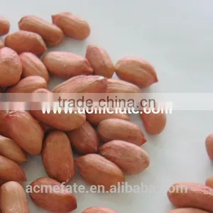 Shandong Long Type Blanched Red Skin Peanut Kernels thumbnail-3