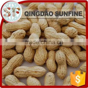 Red Skin Peeled Roasted Peanut in Shell thumbnail-4
