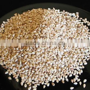 Sesame Seeds thumbnail-3