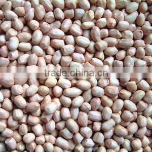 Chinese New Crop Peanut Kernels thumbnail-1