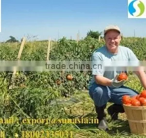 BIO FERTLIZER - NEEM CAKE thumbnail-3