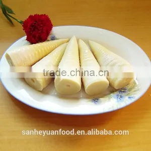Canned Bamboo Shoots Tips in Natural Water thumbnail-1