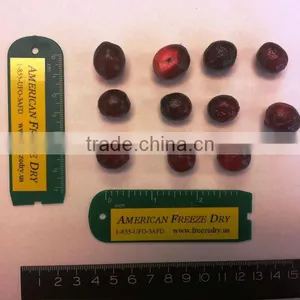 Freeze Dried Cranberry thumbnail-3