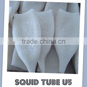 Frozen Squid Tubes Seafood thumbnail-1