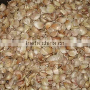FX-139 High Efficiency Commercial Fresh Garlic Processing Machine / Garlic Dividing Machne / Garlic Separator thumbnail-4