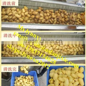 Potato Ginger Washing Peeling Machine /ginger Peeling Cleaning Machine thumbnail-5