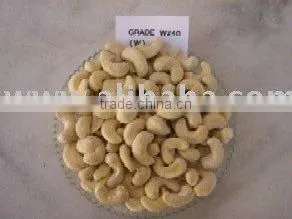 Cashew Nut Kernel thumbnail-1