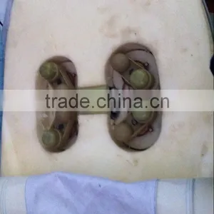 Thermal Massage Bed thumbnail-4