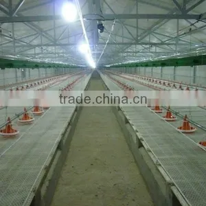 High Quality Poultry Equipment Coal Heating Stove for Chiaken Farm thumbnail-2