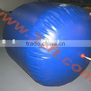 Gas Bladder thumbnail-1