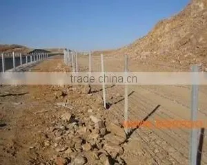 QIang Yu Factory Best Price Barbed Wire thumbnail-5