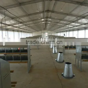 Chicken Poultry House thumbnail-1