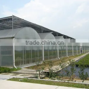 Polycarbonate Sheet Cover Agricultural Greenhouse PC Sheet Covered Greenhouse thumbnail-4