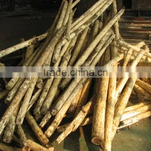 LOGS DEBARKING MACHINE thumbnail-3