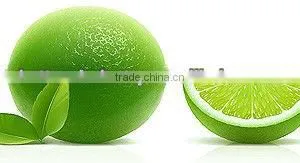 200L Effective Lemon Essential Oil Extractor on Sale (EC) thumbnail-1