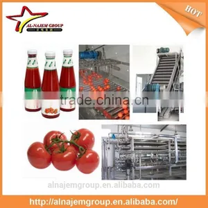 Automatic Tomato Paste Machine thumbnail-1