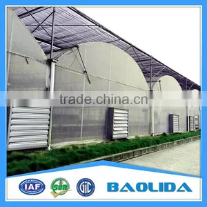Greenhouses for Roses thumbnail-2