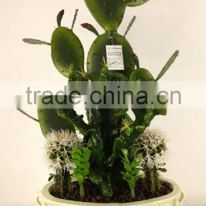CHY030932 Artificial Ornamental Plant/plastic Decorative Cactus and Succulent thumbnail-4