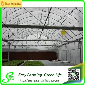 Поликарбонатный теплиц thumbnail-5