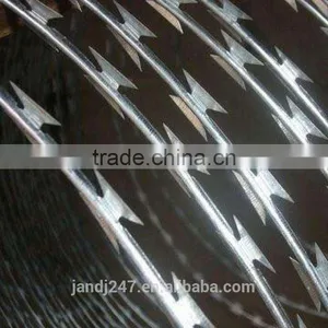 2017 Hot Sale Galvanized Razor Wire With Factory Price thumbnail-3