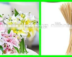 Thin Bamboo Sticks Wholesale thumbnail-1