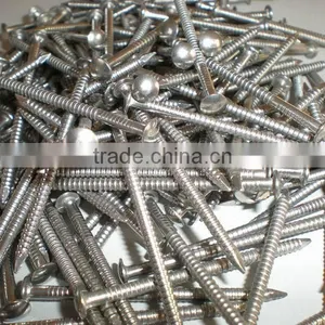 Stainless Steel Construction Nails thumbnail-2
