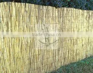 Reed Fence thumbnail-2