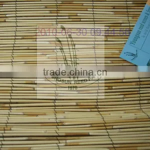 Reed Fence thumbnail-1