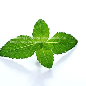 Hot Selling Factory Price High Purity 99% DL-Menthol With Top Quality thumbnail-2