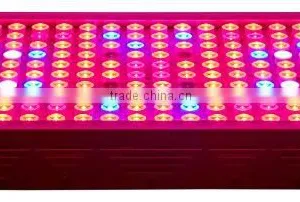 Save Energy Consumption by 15% LED GROW LIGHT 600w Full Spectrum thumbnail-1