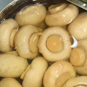 Shanghai Tin Can Food Mushroom Steam Retort Machine thumbnail-6