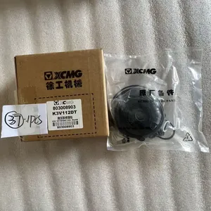 High Quality XCMG Spare Part 803008903 Pump Repair Kit thumbnail-1
