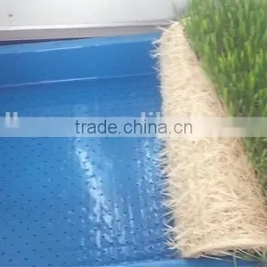 Best Sale Barley Sprouter Machine for Sprouting Barley Sprouts Machine thumbnail-3
