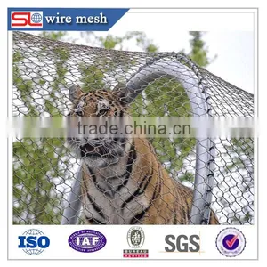 Hebei Shuolong ISO Manufactory Export Stainless Steel Wire Mesh / Mesh Fabric thumbnail-2