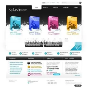 Software Development Custom thumbnail-4