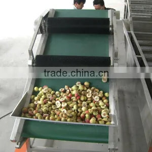 Automatic Peach Flap Turnover Machinery thumbnail-1